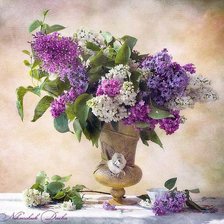 Схема вышивки «№206825»