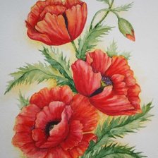 Схема вышивки «маки»