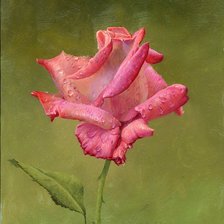 Схема вышивки «роза»