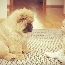 знакомство