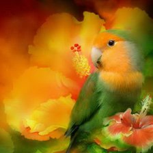 Схема вышивки «попугай»