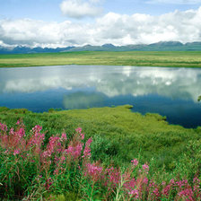 Схема вышивки «озеро»