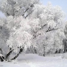 Схема вышивки «зимушка»