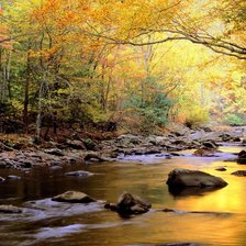 Схема вышивки «золотая пора»