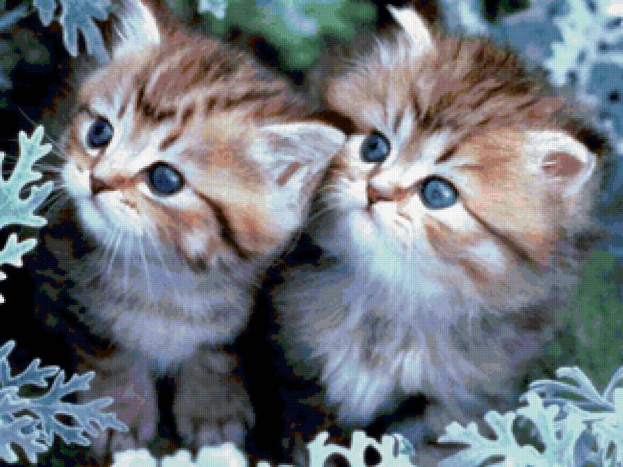 Котята - животные, живопись, котята, картина - предпросмотр