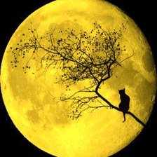 Схема вышивки «№207127»