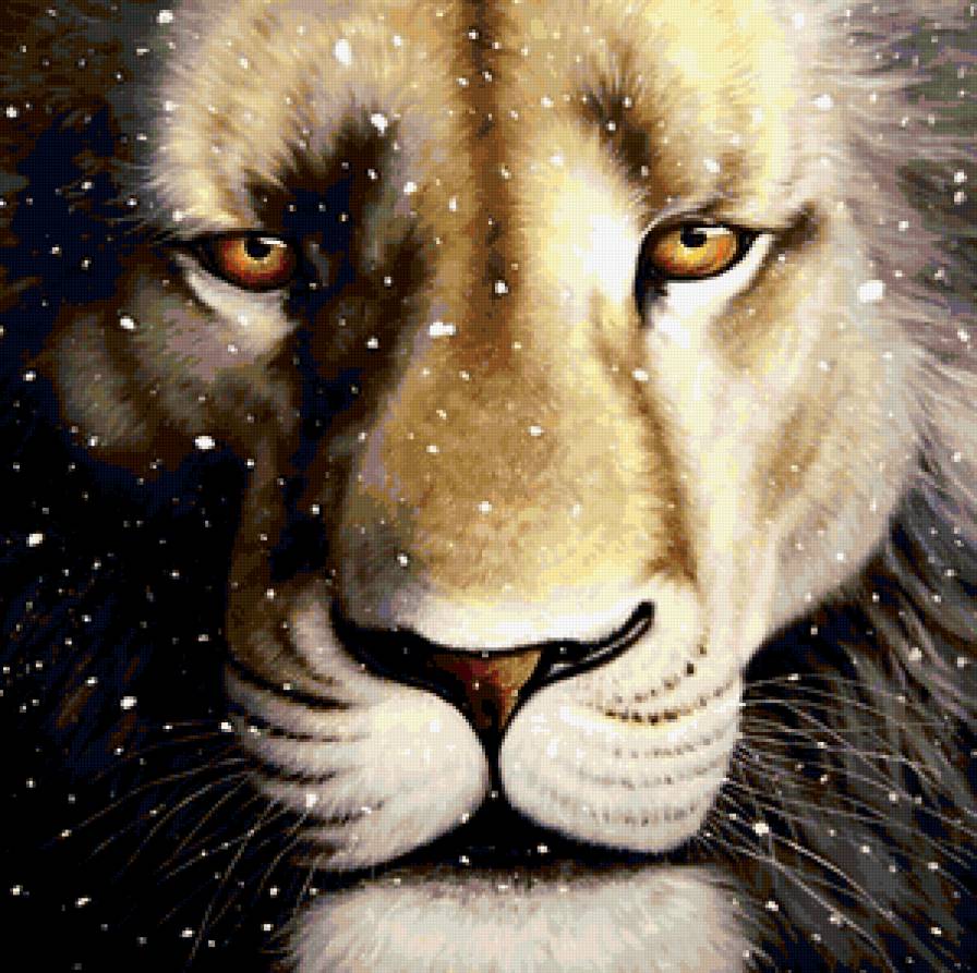 Лев - животные, лев - предпросмотр