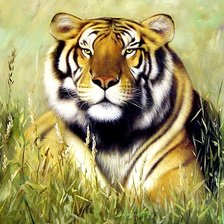 Схема вышивки «Тигр»
