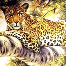 Схема вышивки «Леопард»