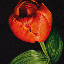 Схема вышивки «№207151»