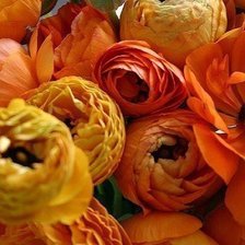 Схема вышивки «№207226»