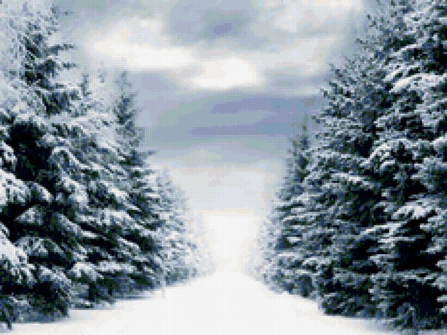 Зимние ели - зима снег елка ели дорога - предпросмотр