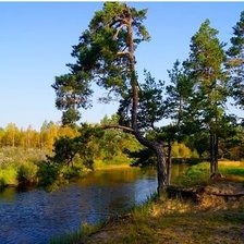 Схема вышивки «пейзаж»