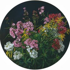 Схема вышивки «цветы»