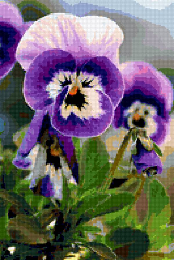 Незабудки - цветы - предпросмотр