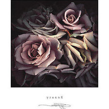 Схема вышивки «№207459»