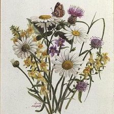 Схема вышивки «№207460»