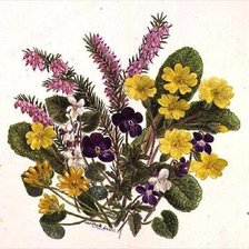 Схема вышивки «№207470»