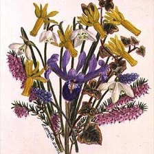 Схема вышивки «№207473»