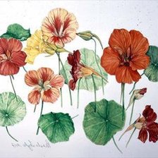 Схема вышивки «№207525»