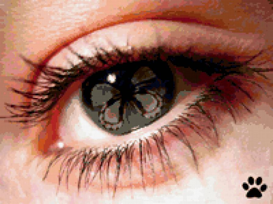 глаза - девушка, глаза - предпросмотр