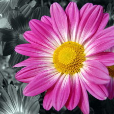 Схема вышивки «Сиреневые»