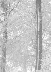 зима1 - пейзаж - оригинал