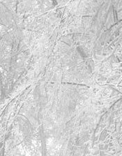 Схема вышивки «зима2»