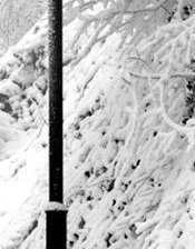 Схема вышивки «зима6»