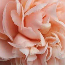 Схема вышивки «№207603»