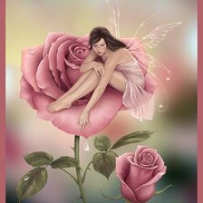 Схема вышивки «Фея на розе»