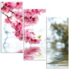 Схема вышивки «Сакура»