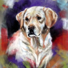 Схема вышивки «Любимец.»