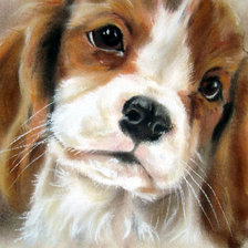 Схема вышивки «Преданный взгляд»