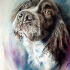 Схема вышивки «Любимчик»