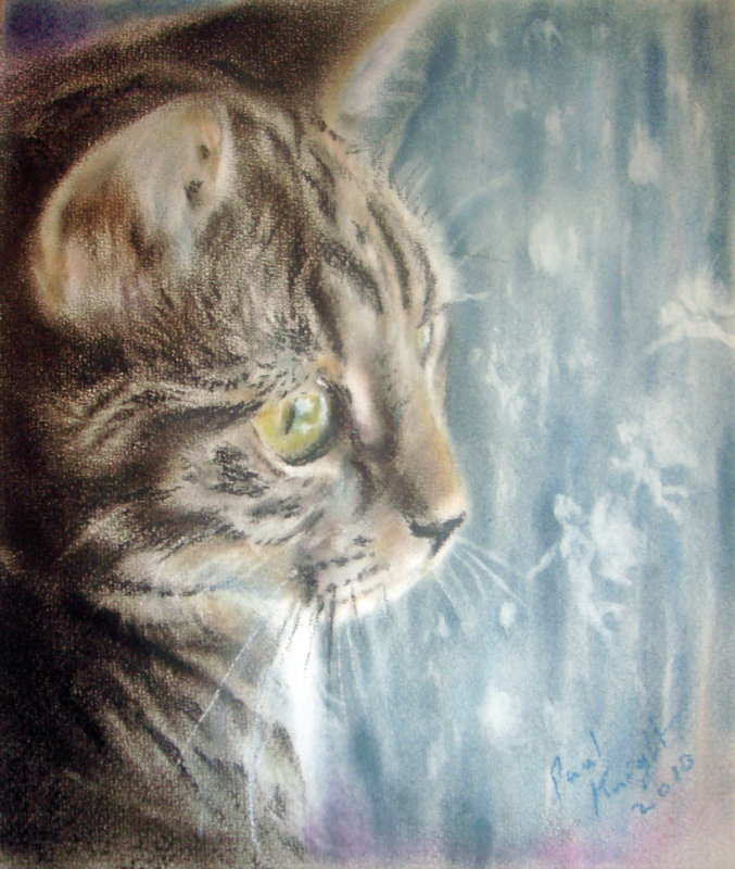 Рано утром. - кошки - оригинал