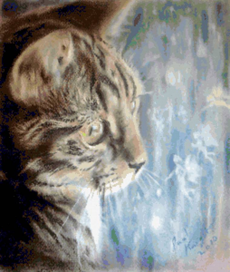 Рано утром. - кошки - предпросмотр