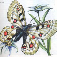 Схема вышивки «Бабочка на цветах»