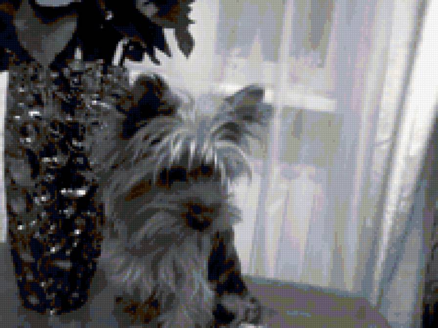 Ваня черно-белый - предпросмотр