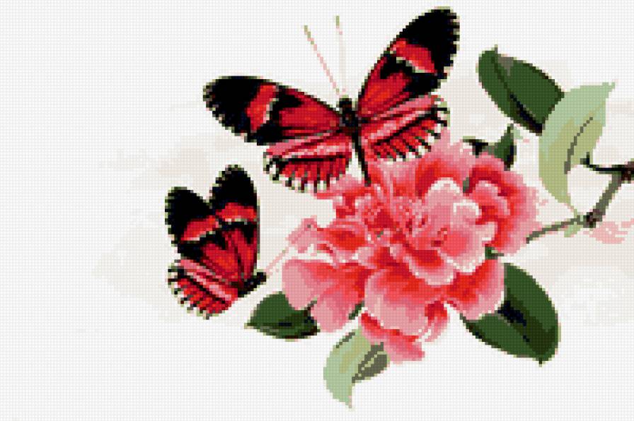 цветок - цветы, бабочка, бабочки, насекомые - предпросмотр