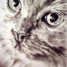 Схема вышивки «Задумчивый 2»