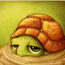 Схема вышивки «Черепашка»