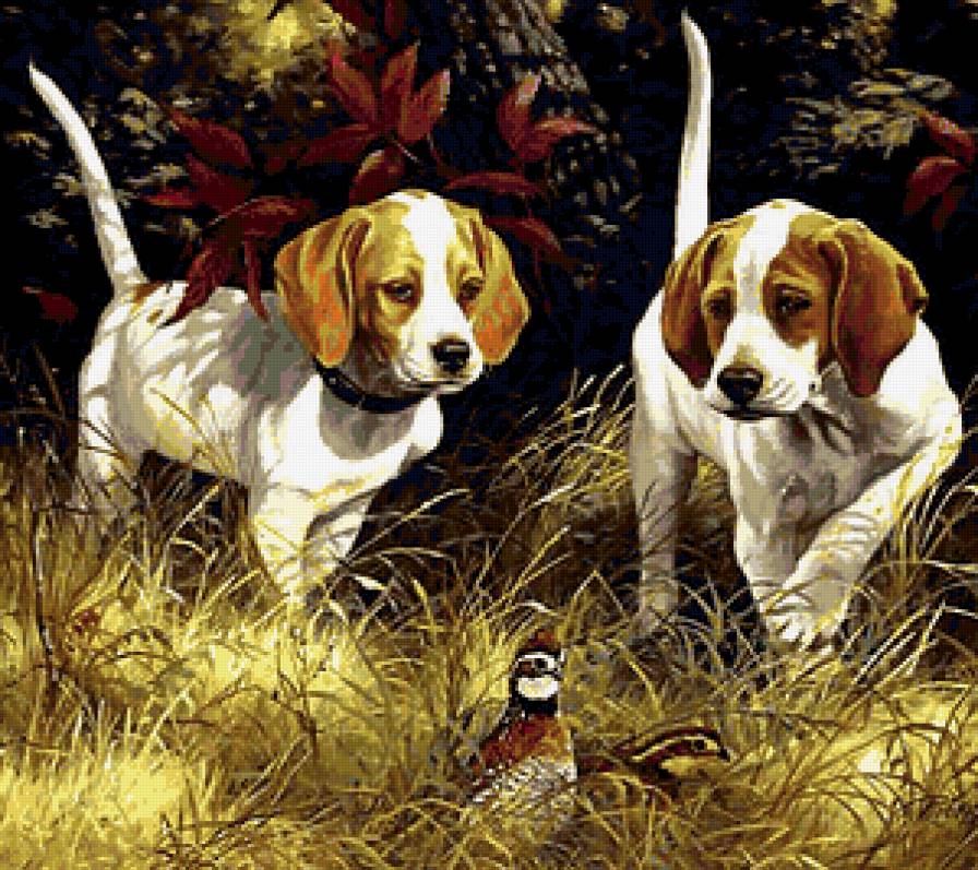 Охотники - собаки, охота - предпросмотр