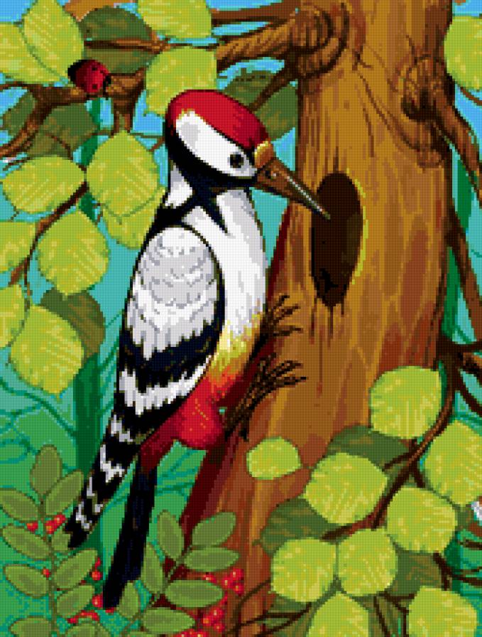 дятел - дятлы, птица, природа, птицы - предпросмотр