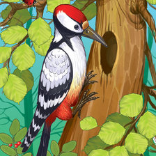 дятел