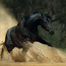 Схема вышивки «Пыль»