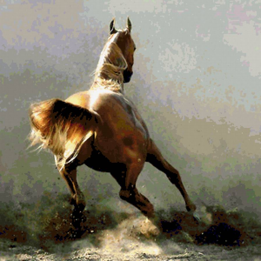 Пыль - лошади - предпросмотр