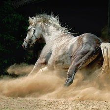 Схема вышивки «Пыль»