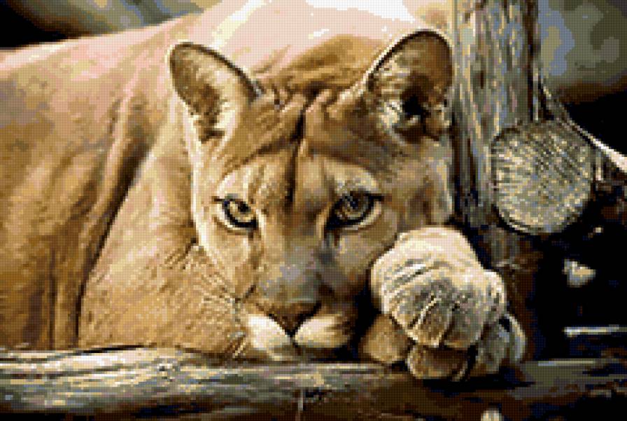 дикая кошка - кошка, львица - предпросмотр