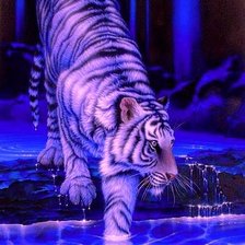 Схема вышивки «№208551»